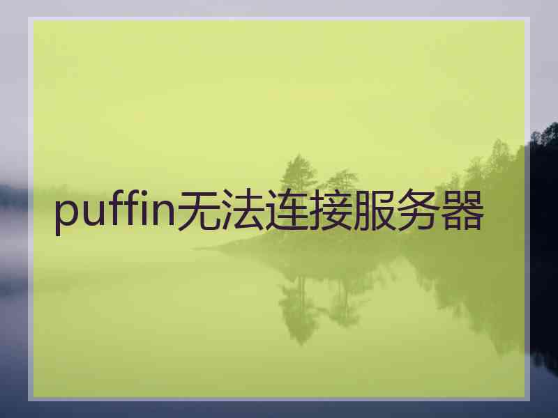 puffin无法连接服务器