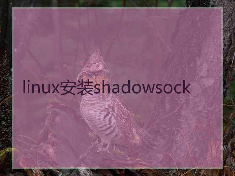 linux安装shadowsock