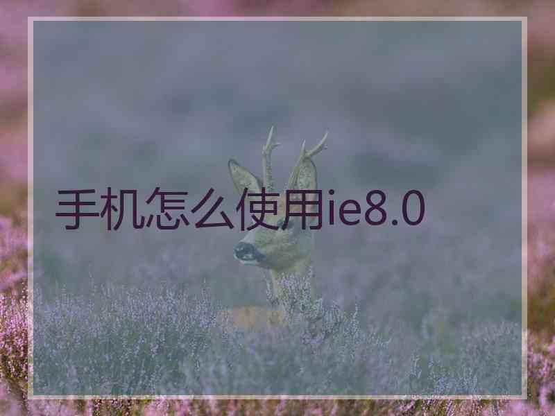 手机怎么使用ie8.0