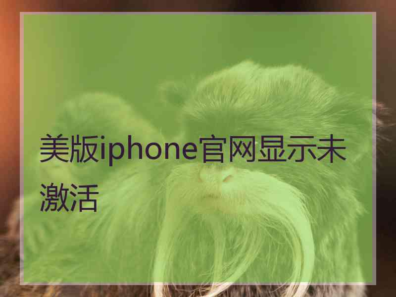 美版iphone官网显示未激活