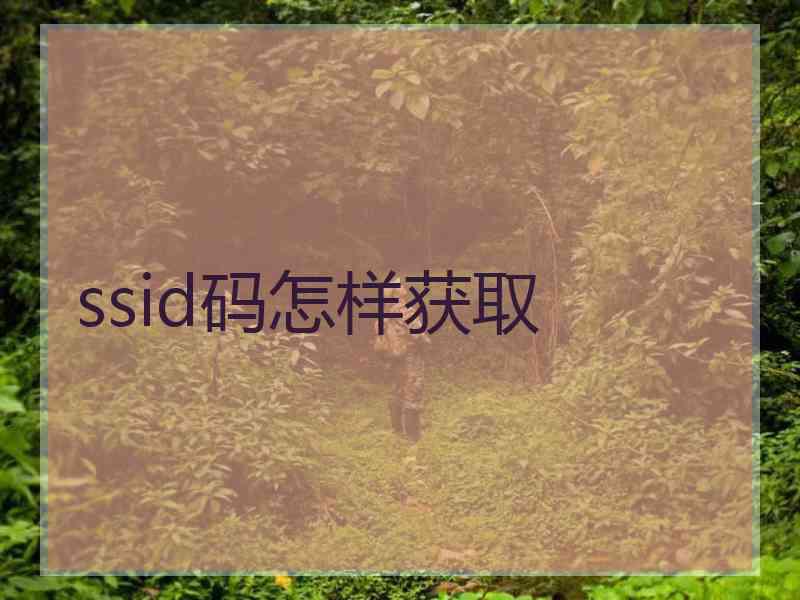 ssid码怎样获取