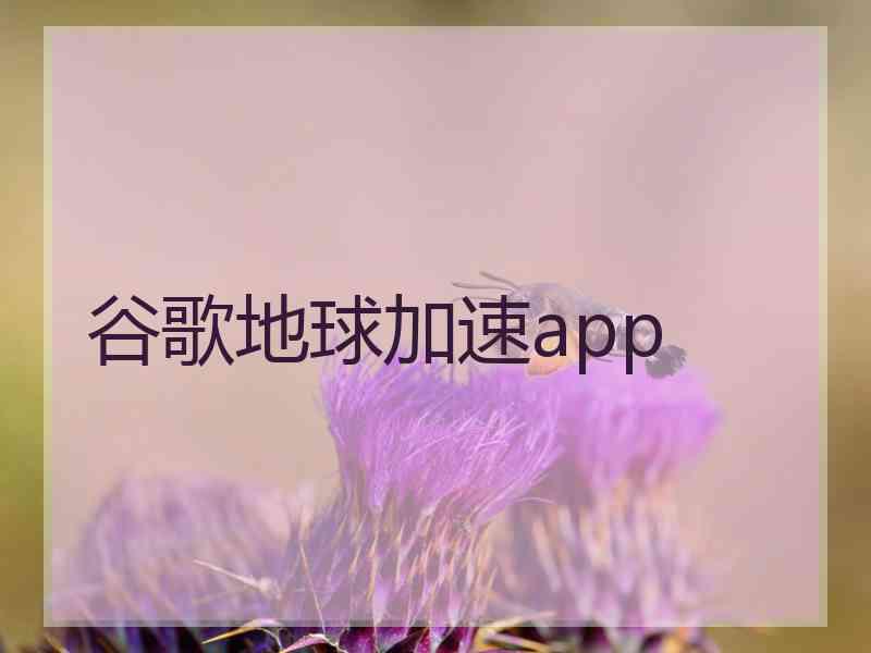 谷歌地球加速app