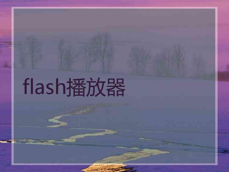 flash播放器