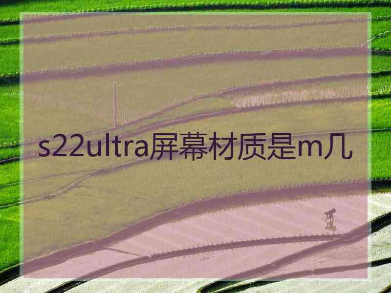 s22ultra屏幕材质是m几