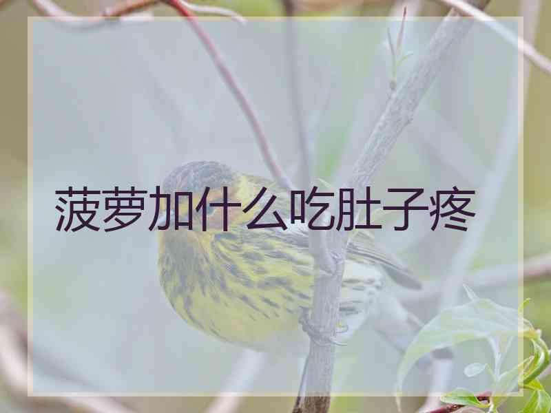 菠萝加什么吃肚子疼