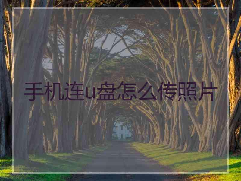 手机连u盘怎么传照片