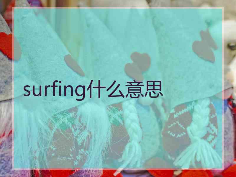 surfing什么意思