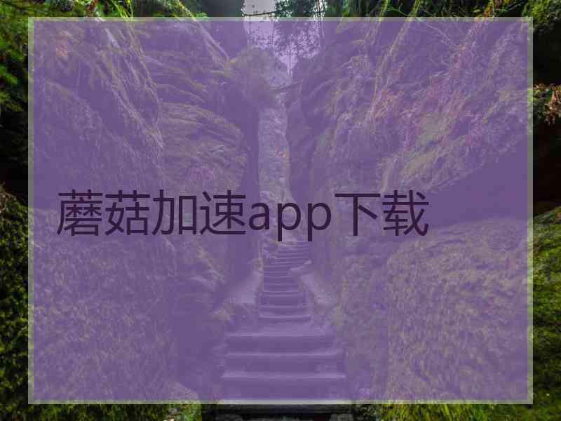 蘑菇加速app下载