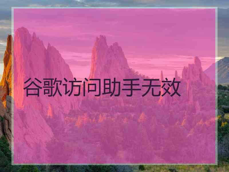 谷歌访问助手无效