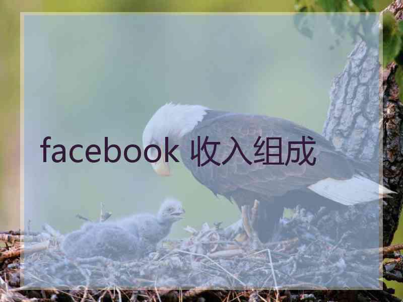 facebook 收入组成