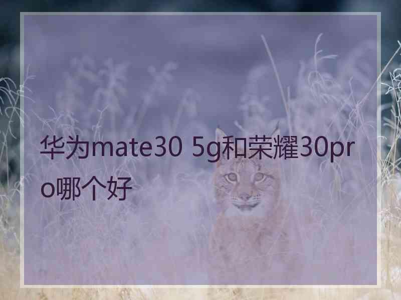 华为mate30 5g和荣耀30pro哪个好