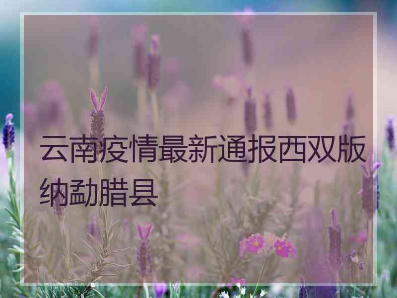 云南疫情最新通报西双版纳勐腊县