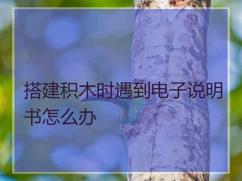 搭建积木时遇到电子说明书怎么办