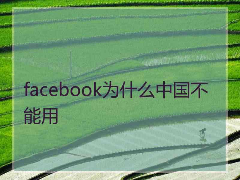 facebook为什么中国不能用