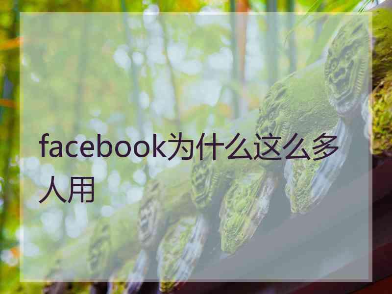 facebook为什么这么多人用