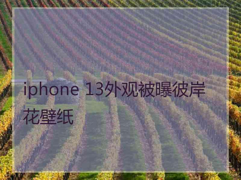 iphone 13外观被曝彼岸花壁纸