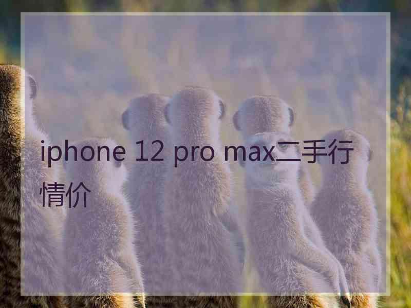 iphone 12 pro max二手行情价