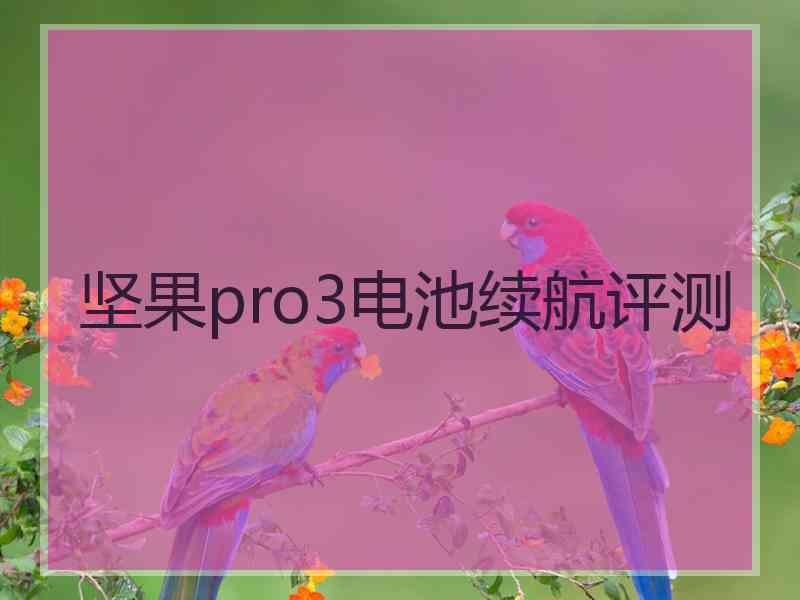 坚果pro3电池续航评测