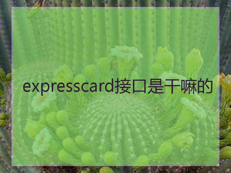 expresscard接口是干嘛的