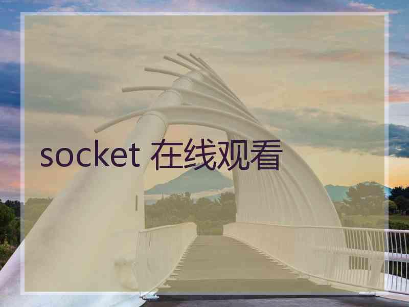 socket 在线观看