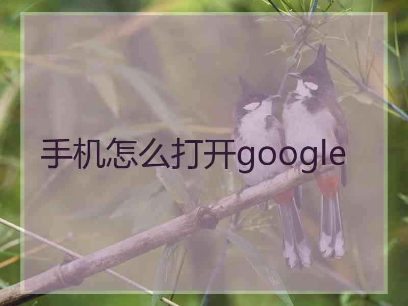 手机怎么打开google