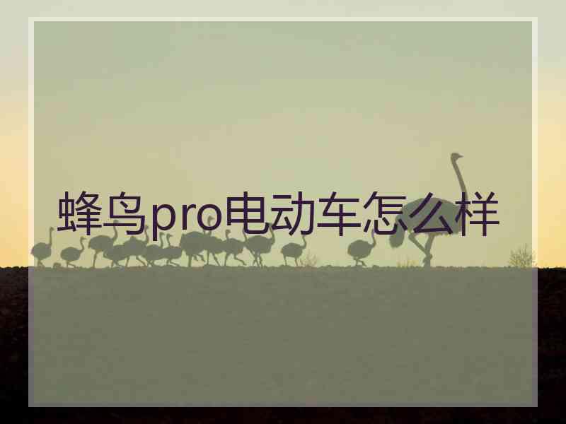 蜂鸟pro电动车怎么样