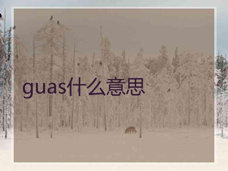 guas什么意思