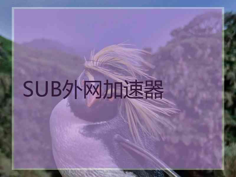 SUB外网加速器