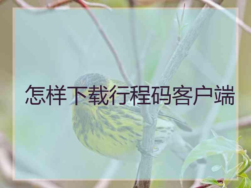 怎样下载行程码客户端