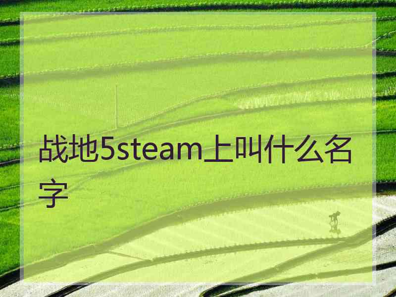 战地5steam上叫什么名字