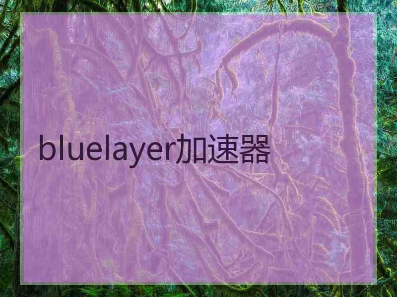 bluelayer加速器