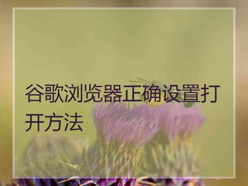 谷歌浏览器正确设置打开方法