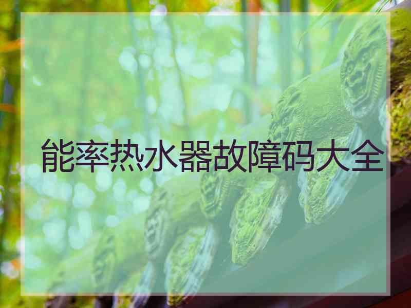 能率热水器故障码大全