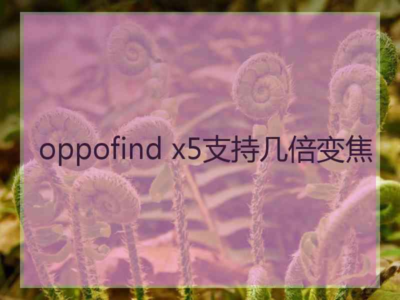 oppofind x5支持几倍变焦