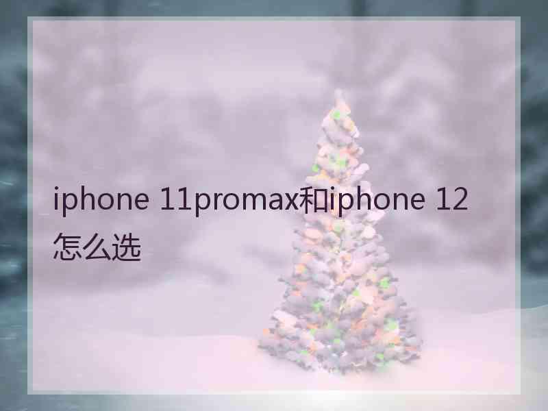 iphone 11promax和iphone 12怎么选