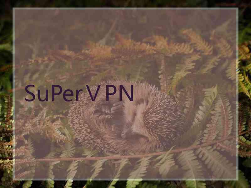 SuPerⅤPN