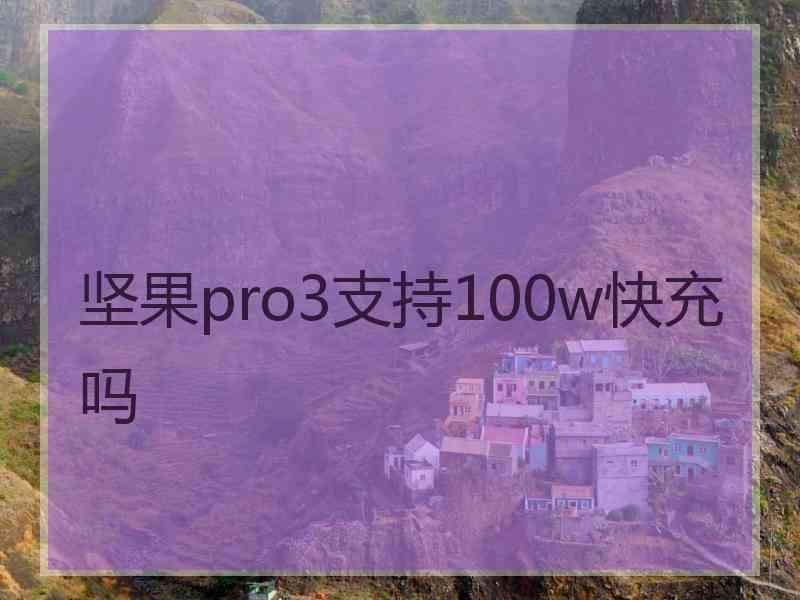 坚果pro3支持100w快充吗