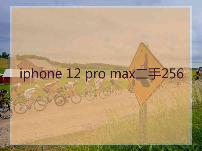 iphone 12 pro max二手256