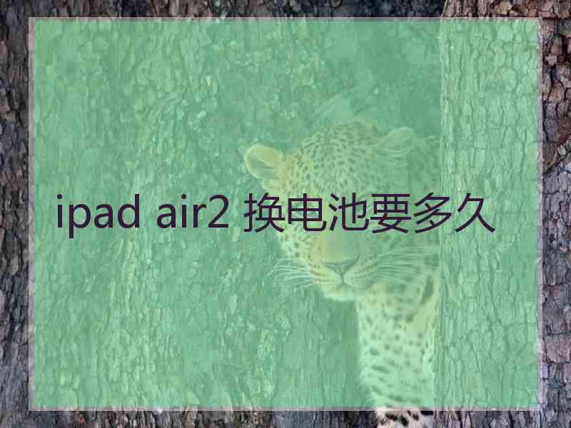 ipad air2 换电池要多久