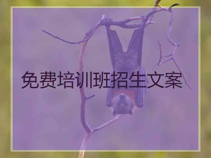 免费培训班招生文案