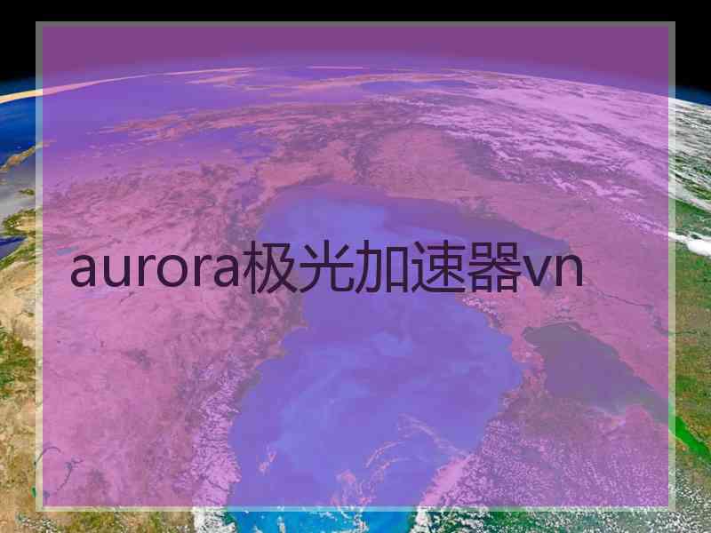 aurora极光加速器vn