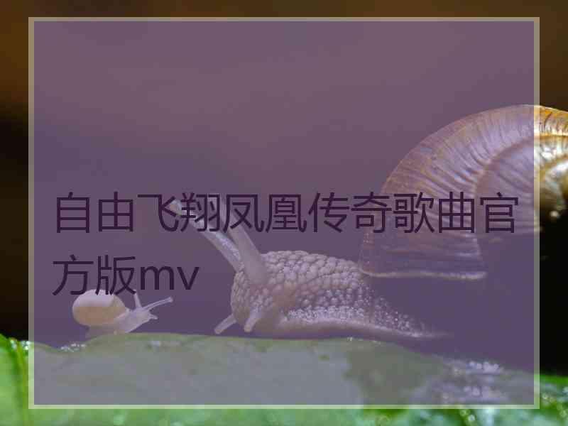 自由飞翔凤凰传奇歌曲官方版mv