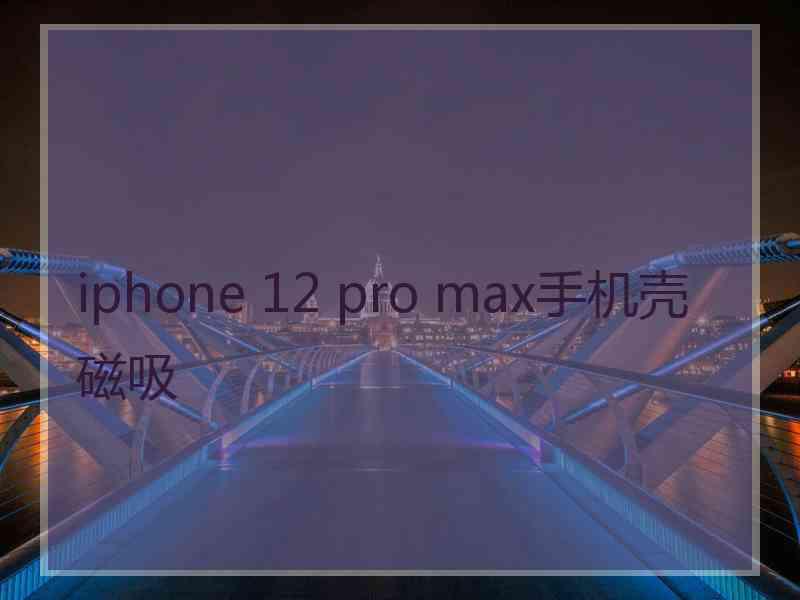 iphone 12 pro max手机壳磁吸