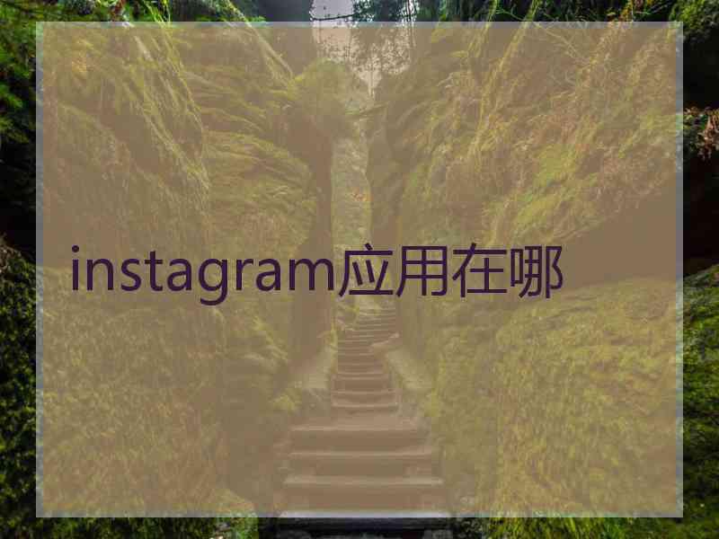 instagram应用在哪