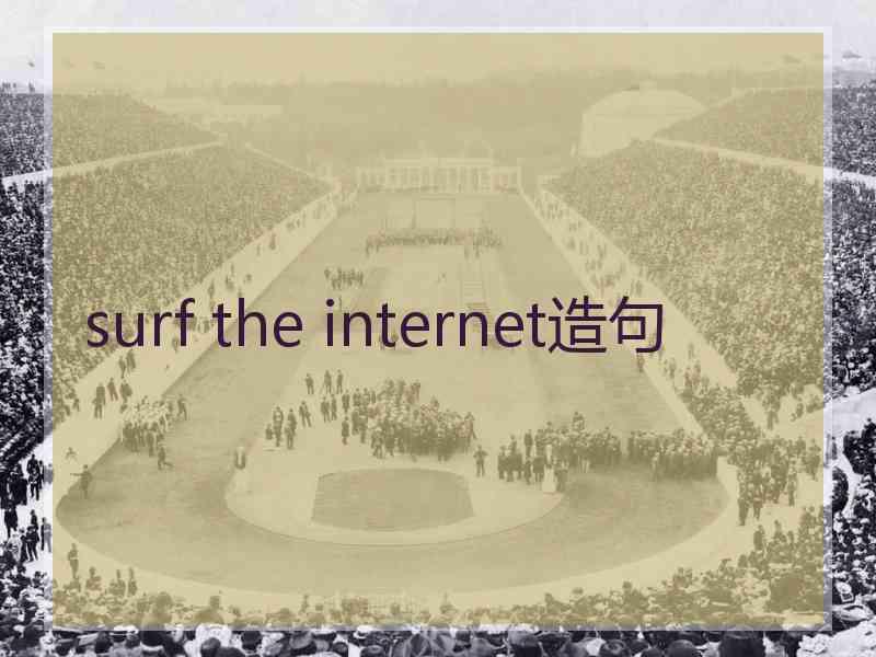 surf the internet造句