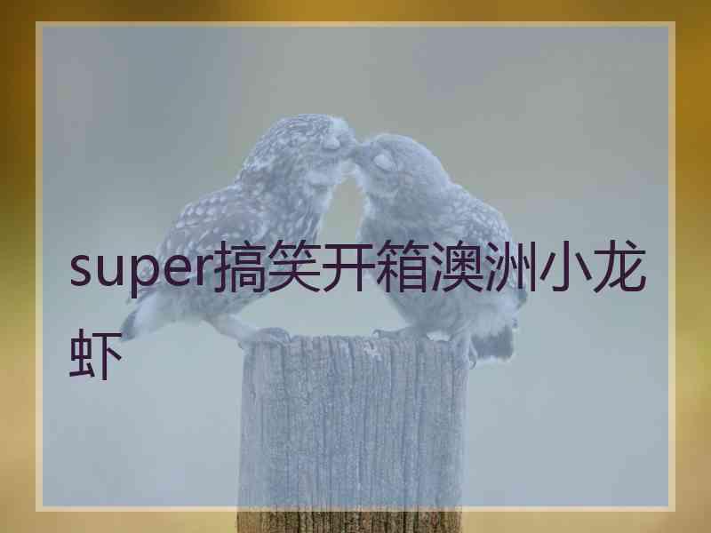 super搞笑开箱澳洲小龙虾