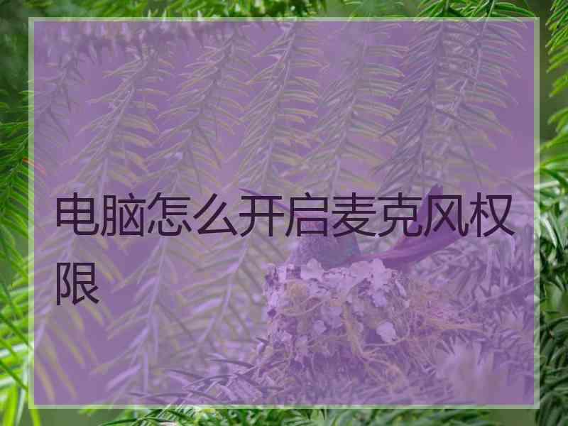 电脑怎么开启麦克风权限