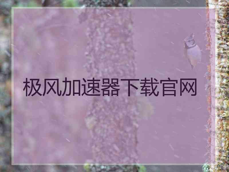 极风加速器下载官网