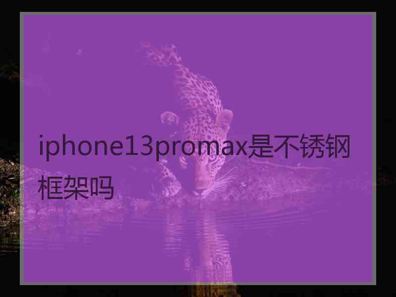 iphone13promax是不锈钢框架吗