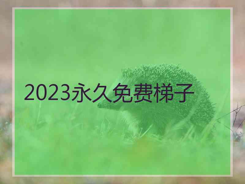 2023永久免费梯子